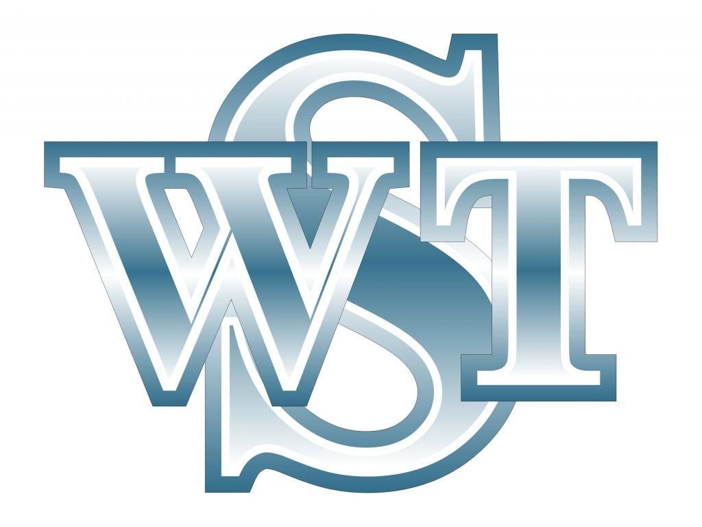 Logo Walter Tosto SpA, 1984